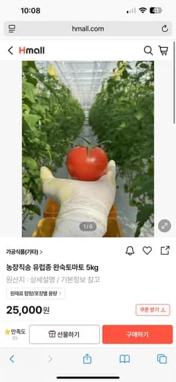 h몰 80% 토마토5kg 5000원