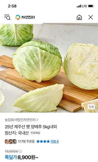 톡딜) 25년 제주산 햇 양배추 5kg 8900원 무배