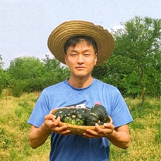 네이버)참좋은 제주몰 국내산 미니 밤호박 로얄과 5kg 16,900원 무배