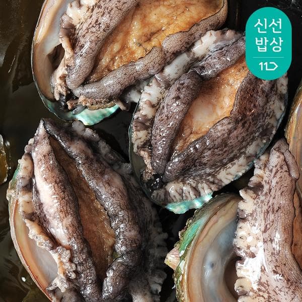 11번가)완도 참 전복 왕특대활전복 8~9미 1kg 산소포장 21830원