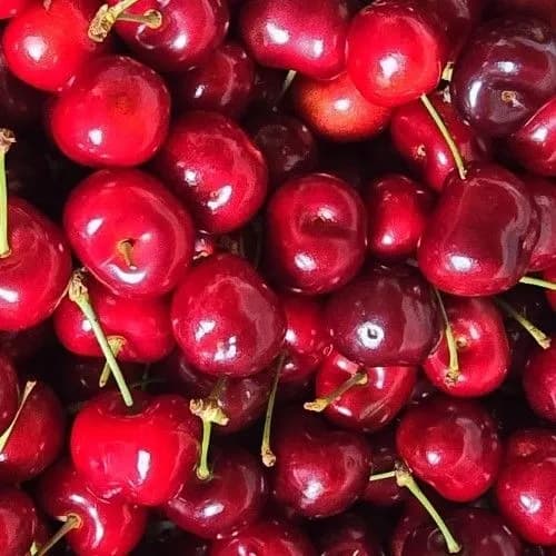 롯데온) 항공직송 미국 생 체리 500g 2팩 총1kg 13990원 무료