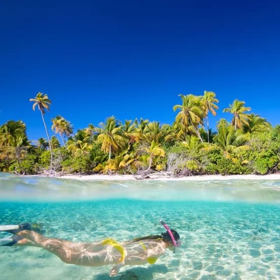 롯데온) 보홀 인천/부산 출발 패키지 (1일 자유) 199,200원~