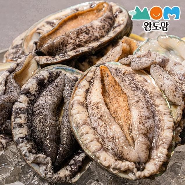 남도장터) 완도 특특대 활전복 1kg +선물포장가능 (7-8미) 18,240원 무배