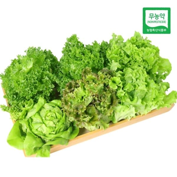 SK스토아) 무농약 친환경 유럽종 샐러드 상추 1kg (3~4종 랜덤배송) 5874원