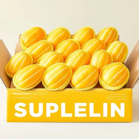 롯데온) 고당도 성주 꿀 참외 1.5kg 로얄과 9,000원 (+실사있어요)