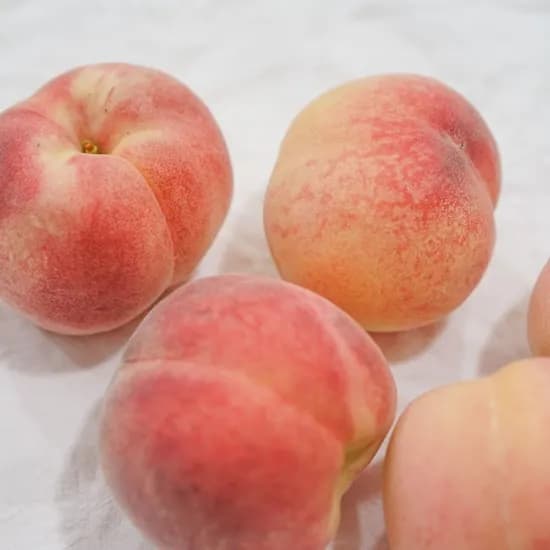 롯데온) 경북 반납작 대극천 복숭아 1kg 8,680원