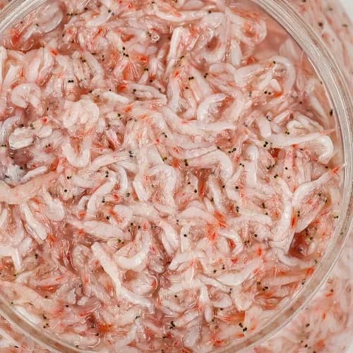 신안1004몰) 신안 새우젓 2kg 9,310원~