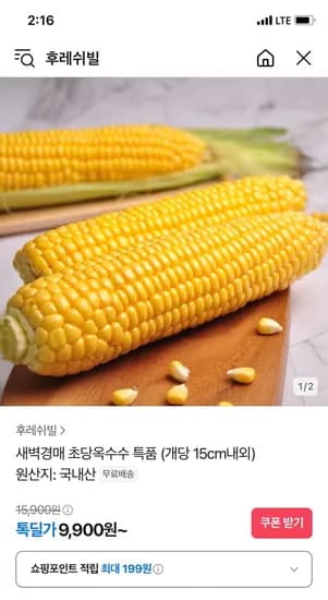 톡딜) 초당옥수수 특품 개당 15cm내외 10개 9,900원 무배