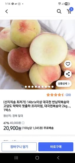 쿠팡)14brix이상 대극천 반납작복숭아 2kg 16-20과 20,900원