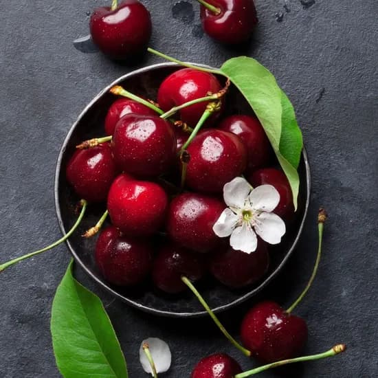 롯데온/ 고당도 항공직송 미국산 생체리 특대과 9.5row 500g 9,040원 무배