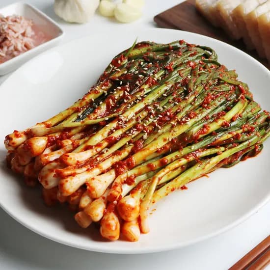 롯데온) 함평댁 전라도 파김치 1kg 당일제조 국내산 9,080원