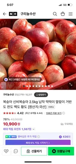 원쁠딜)구리농수산 신비복숭아 2.5kg 로얄과 10,900원