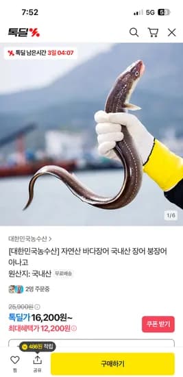 톡딜) 자연산 바다장어 1kg 4-6미(손질후700g) 12,200원 무배