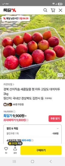 톡딜) 경북 산지직송 새콤달콤 햇자두 2kg 9,800원 무배
