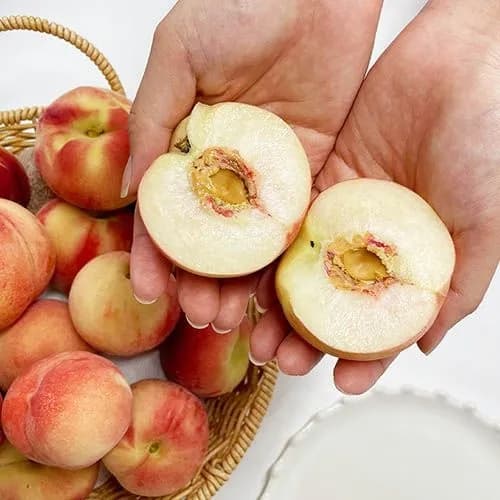 롯데온) 대극천 반납작복숭아 1kg 9320원 무배