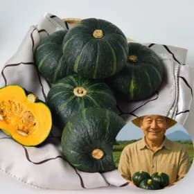 지마켓) 제주 밤단호박(보우짱) 4kg 소과(17~25과) 12,670원 무배