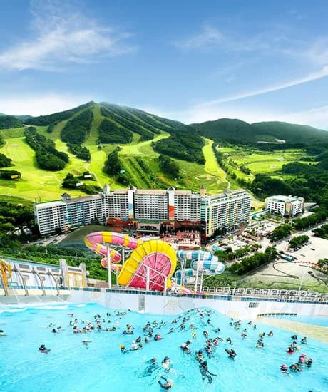 11번가60분러시예고) 웰리힐리 1박+오션+구명조끼 패키지 133,950원~