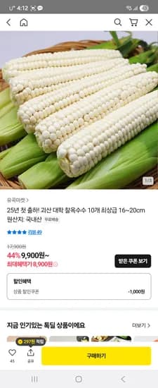 카카오톡딜) 유곡마켓 괴산 대학 찰옥수수 10개 최상급 16~20cm 8,900원 무배 !!