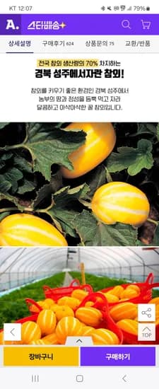 옥션)산지직송 고당도 저탄소 꿀 참외 10kg(혼합과) 12,210원