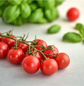 착착착) 스테비아 방울토마토 2kg 4팩 9940원 무배