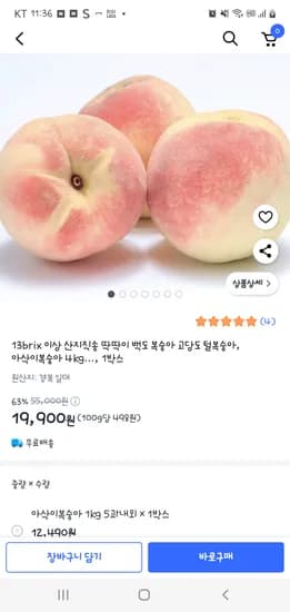 쿠팡) 13brix 딱딱이 백도복숭아 4kg 19900원