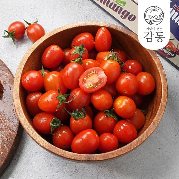 롯데온) 스테비아 대추방울 토망고 500g 4팩 10,890원