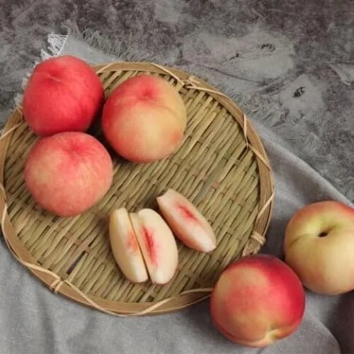 착착착) 제철 여름 딱딱이 복숭아 4kg  9940원