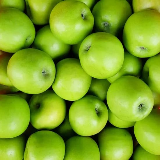 롯데온)경북 가정용 초록사과 썸머킹/아오리 1.5kg 꼬마 9,600원 무배