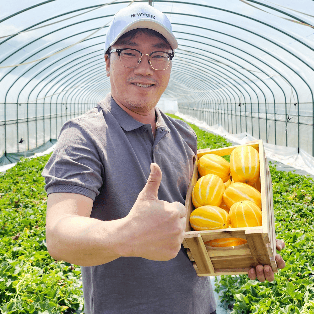 네이버) 에코푸드 성주참외 10kg 9,900원 무배