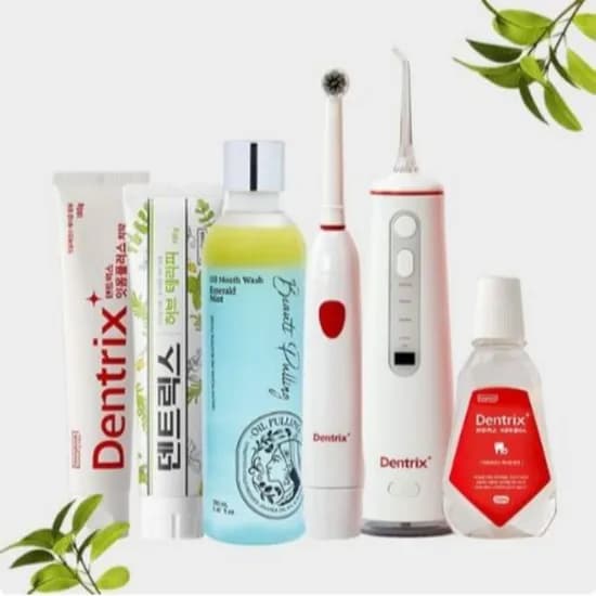 롯데온) 덴트릭스 잇몸플러스 치약 160g 3개 + 마우스스프레이 증정 13,610원