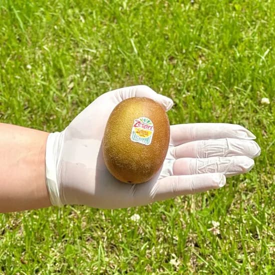 롯데온) 골드키위 제스프리 키위 로얄과 1kg 7-9개 11,190원 무배