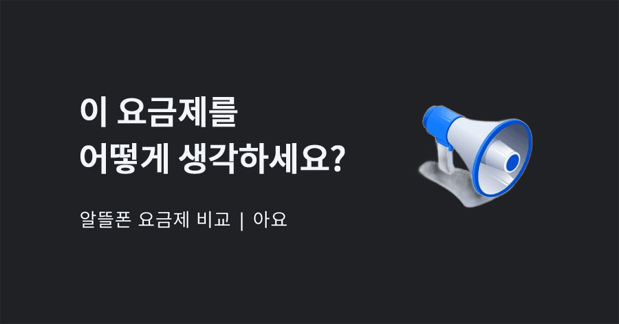 알뜰요금제) 1기가, 30분 ,kt망 10원 (4개월)