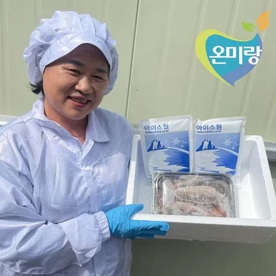 롯데온) 국내산 동해안 초코 생물급냉 통오징어 1kg 6-15미 11,760원