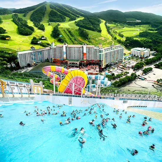 11번가) 강원 웰리힐리파크 썸머패키지 132,050원~