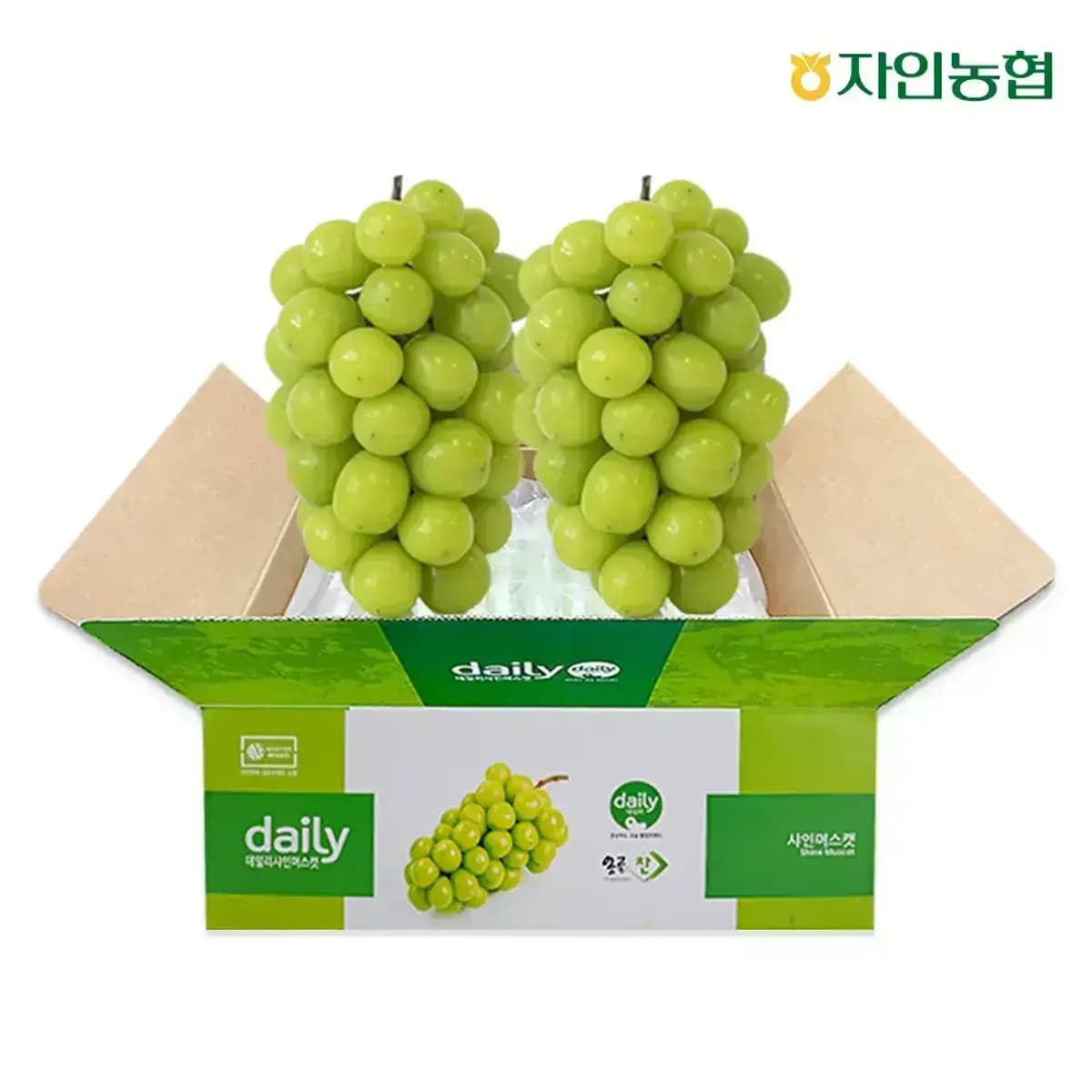 11번가) 자인농협 데일리 샤인머스켓 1.5kg 2-3송이 농협정품 16,910원