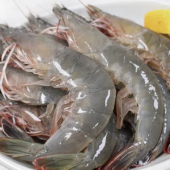 옥션)국내산 당일조업  흰다리 활새우 1kg(38미내외) 22,670원