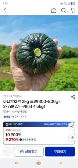 지마켓) 미니밤호박 로얄과 2kg(3-7과) 9,270원 무배(2개 구매시 500g증정)