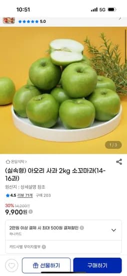 아오리 사과 2kg 14-16과