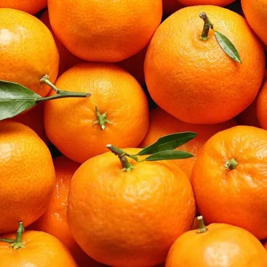 제주산 하우스 감귤 3kg 소과 (41~48과)