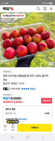 햇자두 2kg
