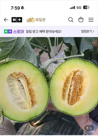 과일꾼 머스크멜론 2통 3.2~3.6kg