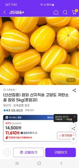 성주참외 5kg