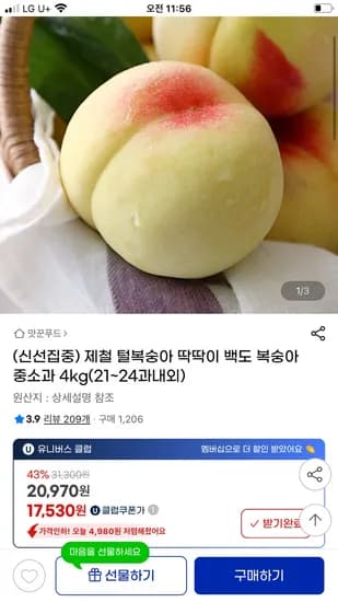 백도 딱딱이 중소과 4kg