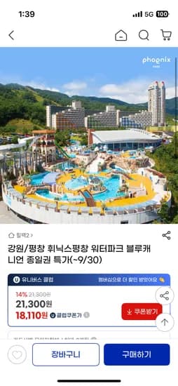 휘닉스평창 블루캐니언 종일권 소인