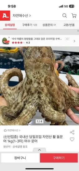 국내산 자연산 활문어 1kg