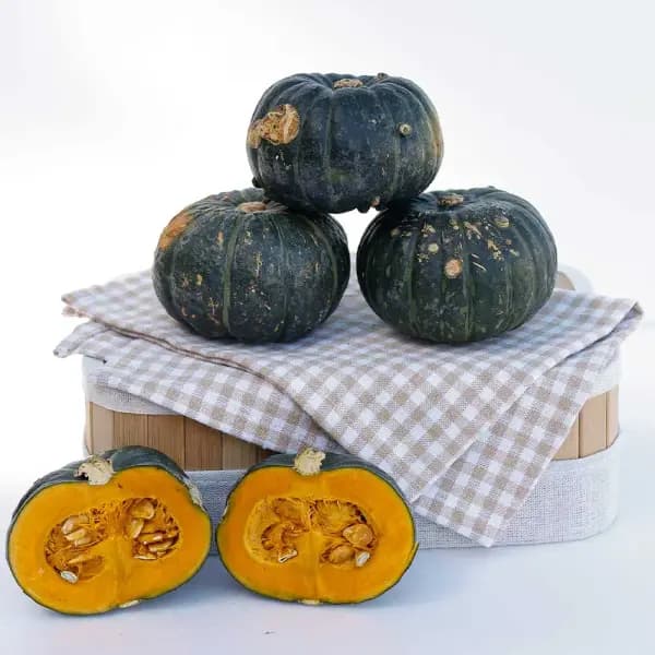 제주 미니단호박 가정용 못난이 4kg