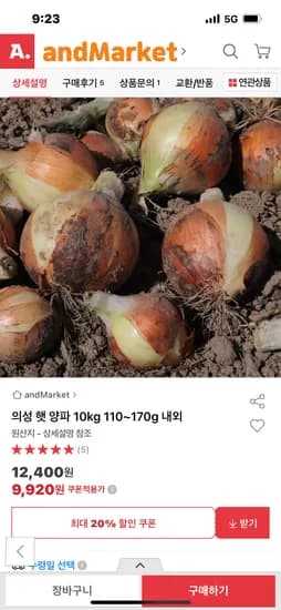 햇 양파 10kg