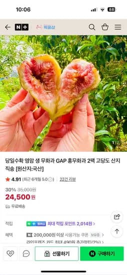 영암 홍무화과 1kg