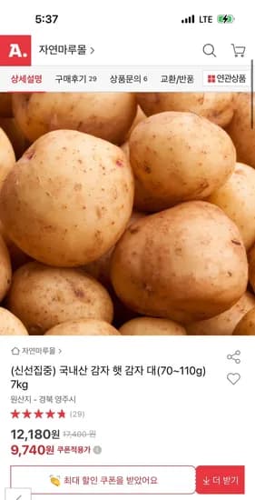국내산 햇 감자 대 7kg