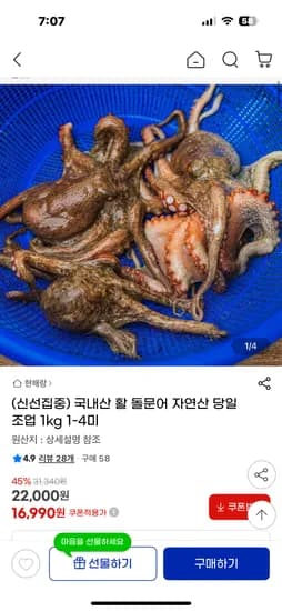 국내산 활 돌문어 1kg 1-4미